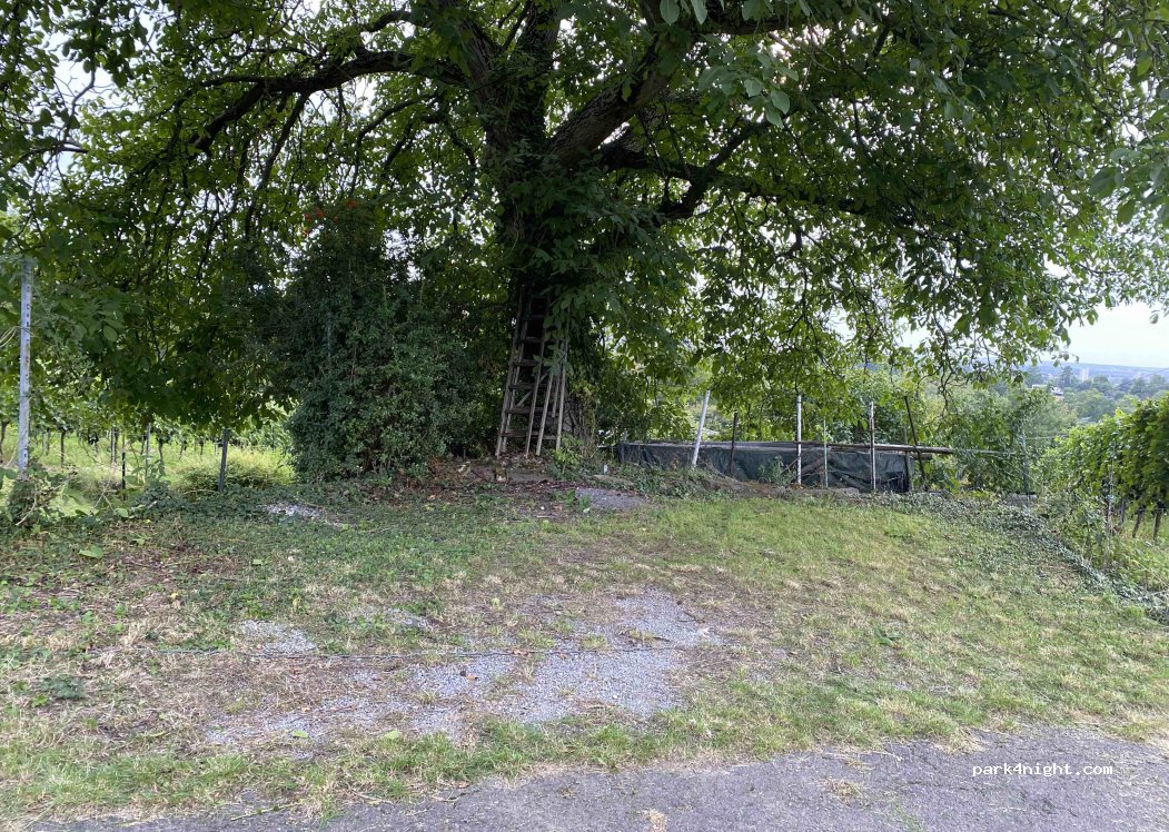 (74074) Heilbronn - Jägerhaussteige — foto 4