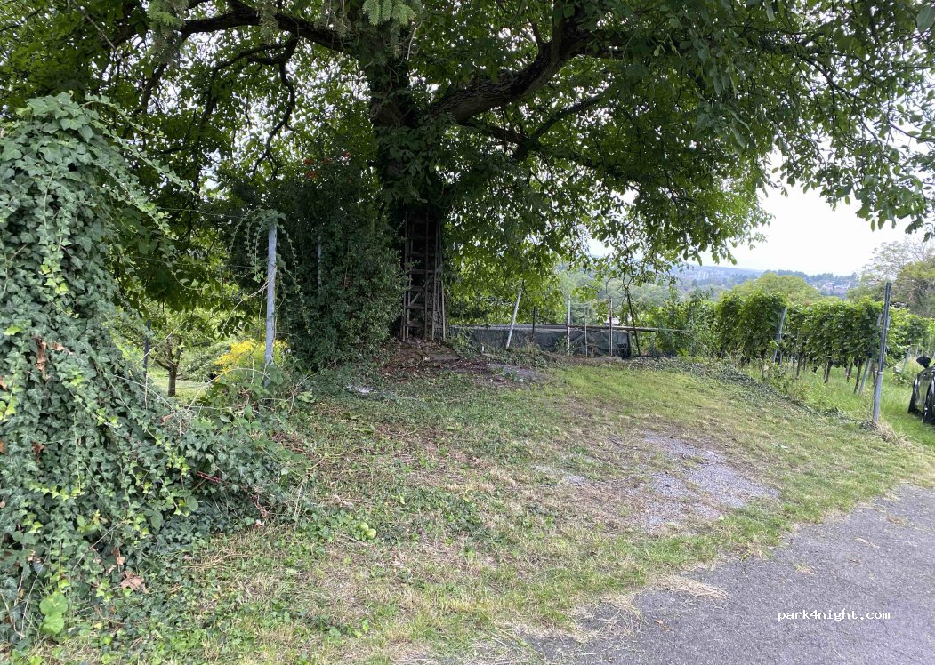 (74074) Heilbronn - Jägerhaussteige — foto 5