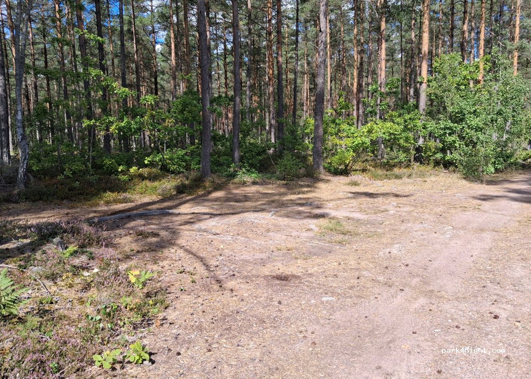 () Tvärskog - H 520 — foto
