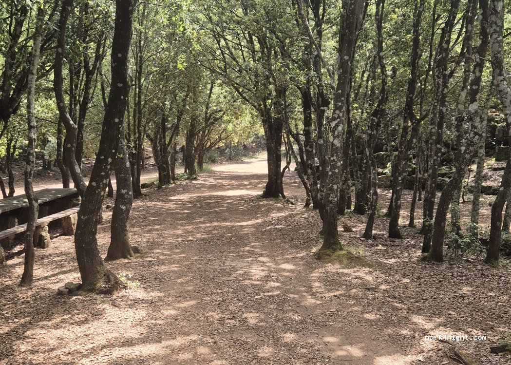 (08040) Òsini/Osini - — foto 3