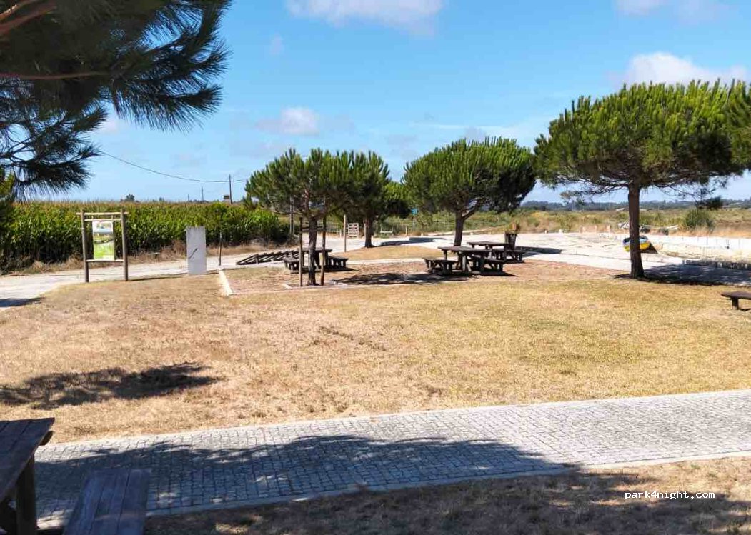 (3870-019) Murtosa - — foto