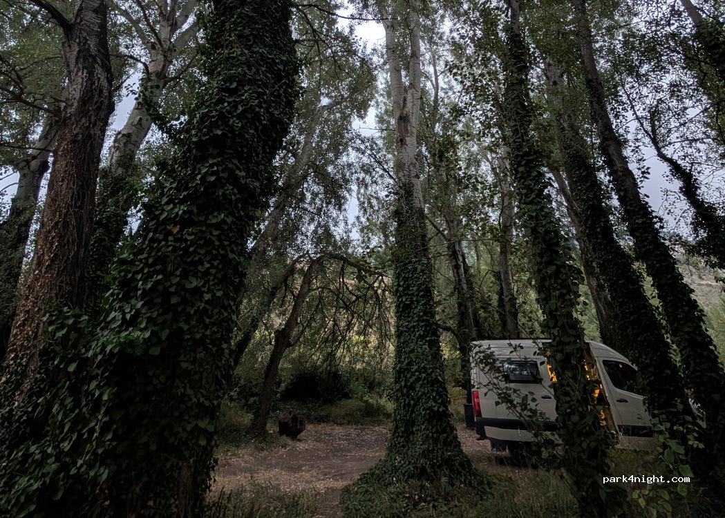 (26132) Leza de Río Leza - Carretera del valle del Leza — foto