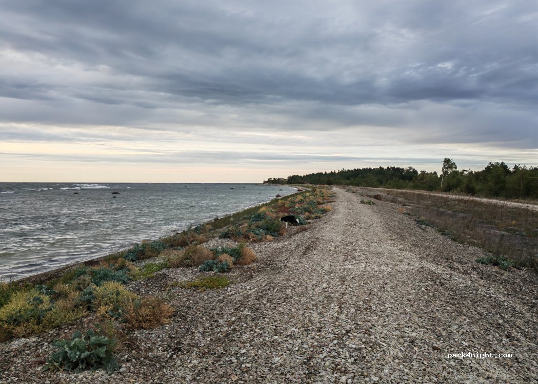 (76019) Harju maakond - — foto