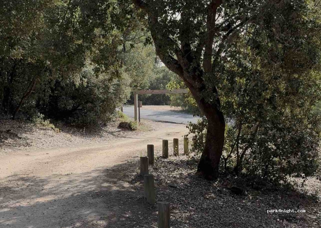 (85160) Saint-Jean-de-Monts - Chemin de la Daviere — foto