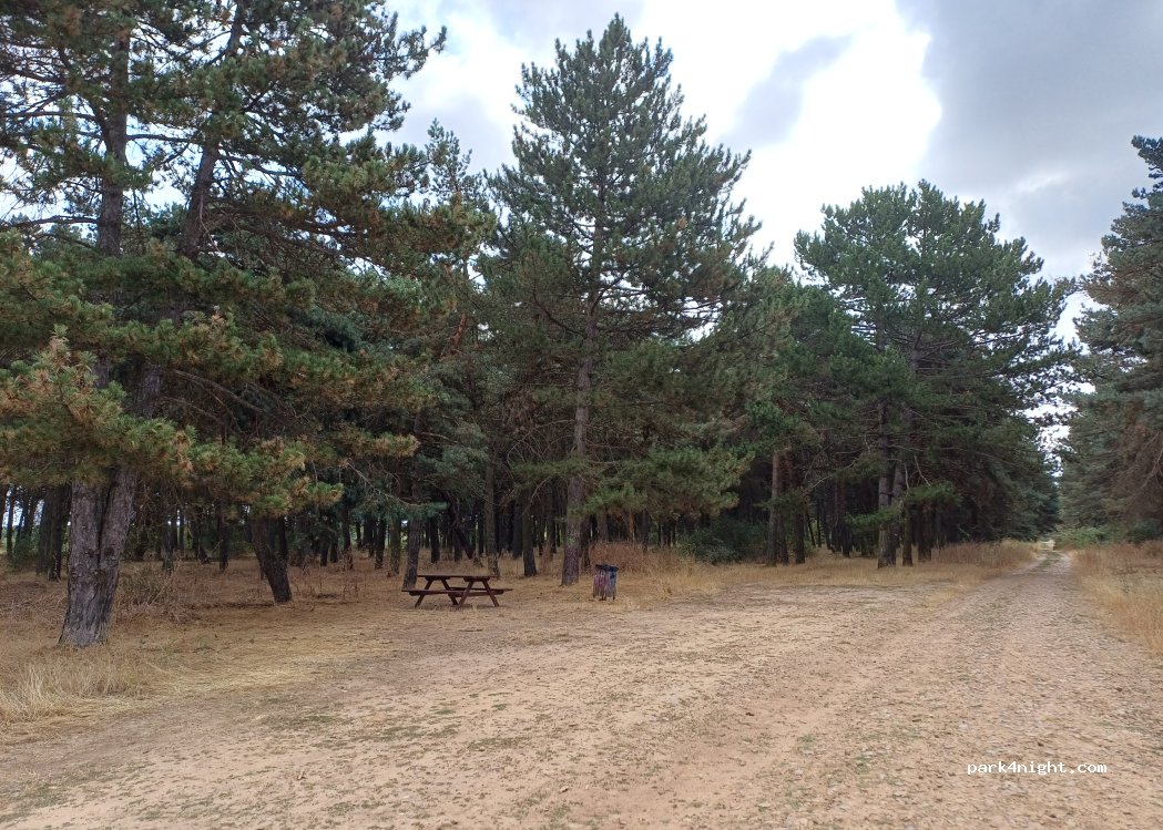 (09080) Burgos - Camino del Cid — foto 2