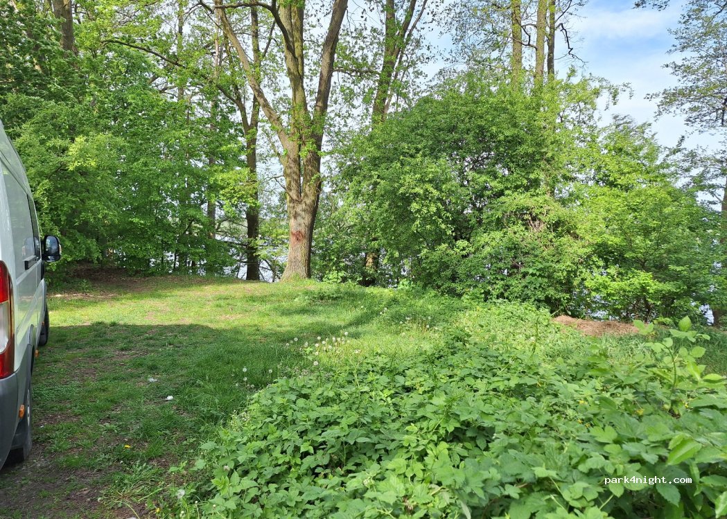 (09-504) Miałkówek - — foto 4