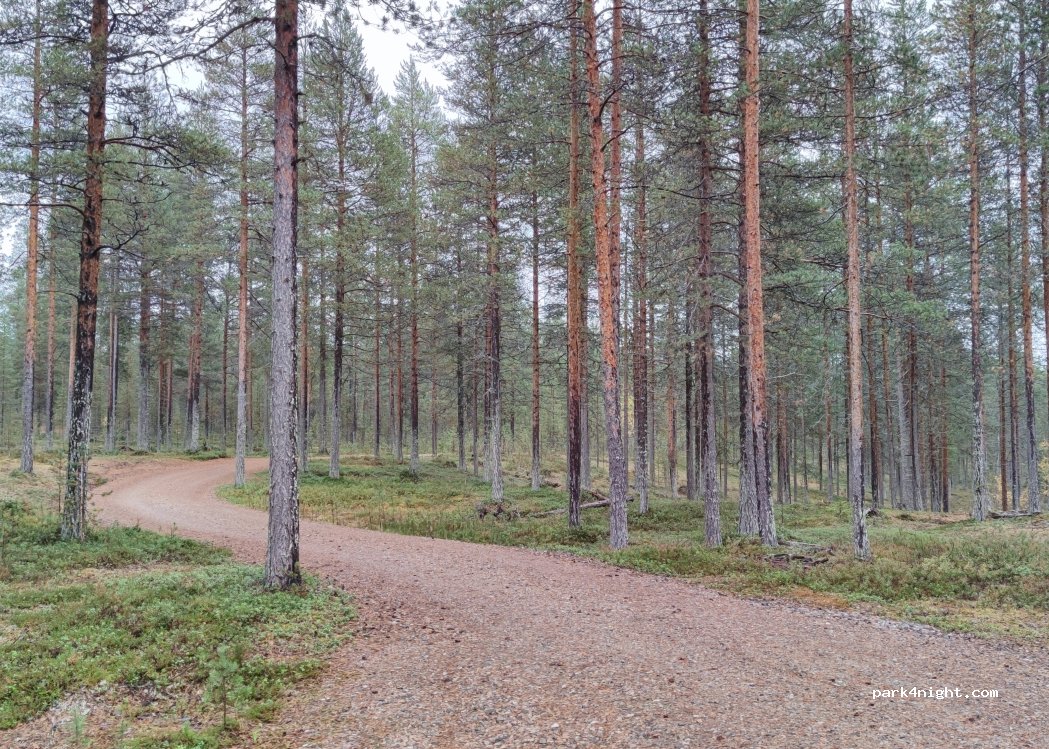 (93800) Kuusamo - Rovaniementie — foto 3