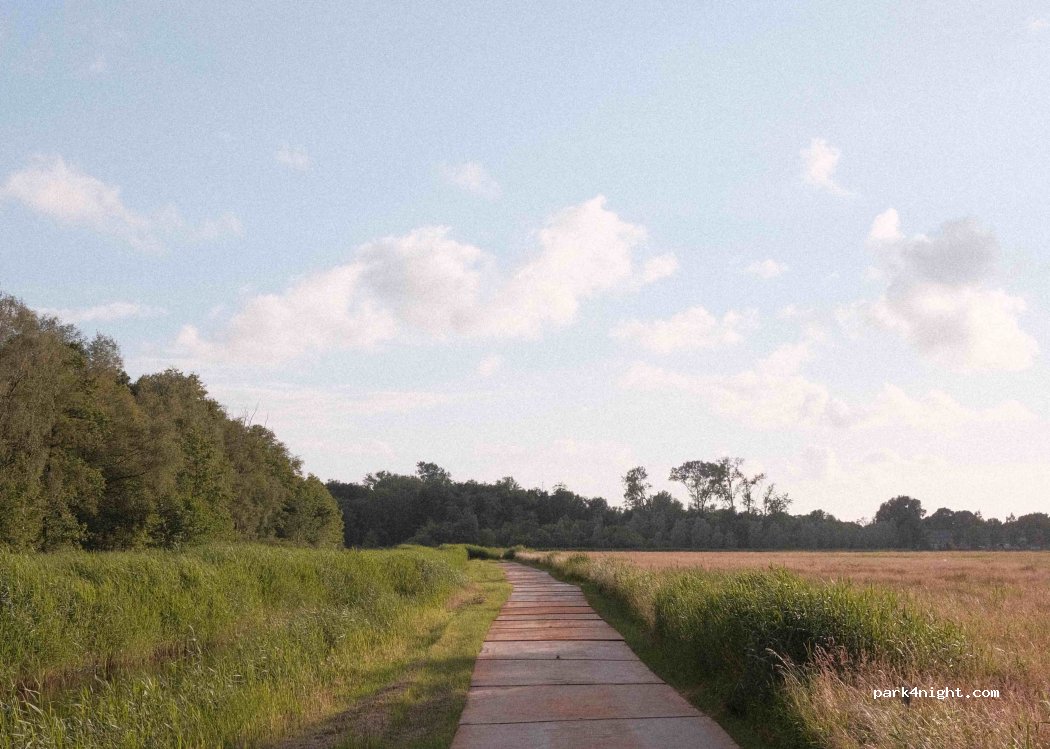 (5076) Haaren - Oisterwijksedreef — foto 2