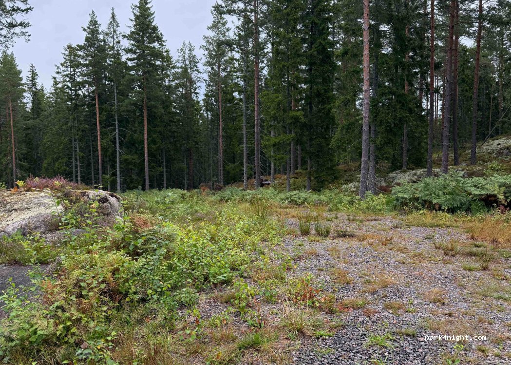 (69597) Tived - Kojvägen — foto