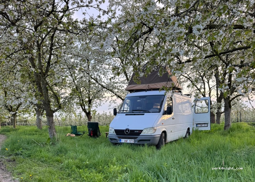 (3832) Ulbeek - Meerveldstraat — foto