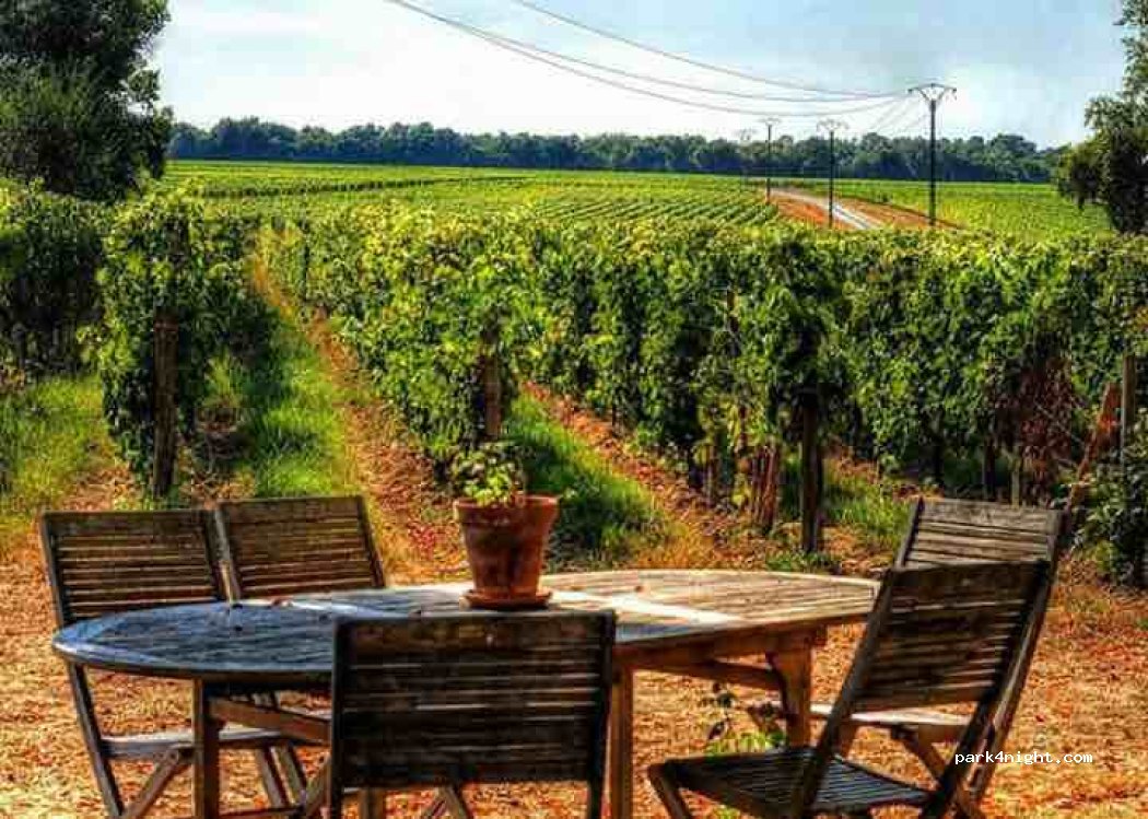 Château Vieux Mougnac — foto 3