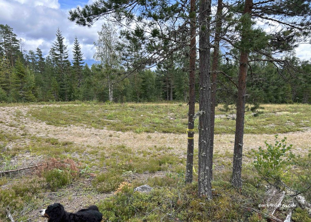 (786 93) Nås - — foto