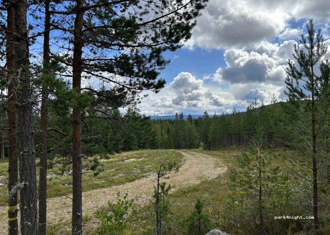(786 93) Nås - — foto 4