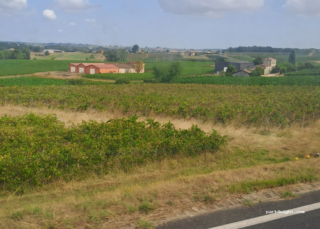 (33330) Saint-Émilion - D 122 — foto