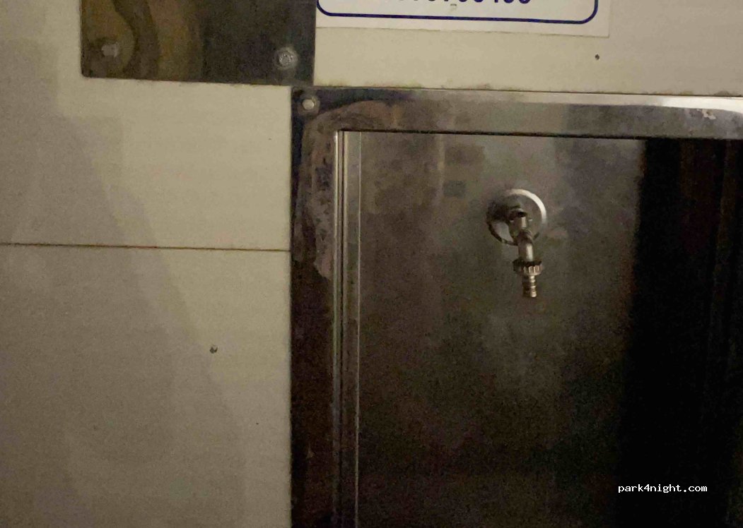 (49081) Avliotes - 2231 — foto