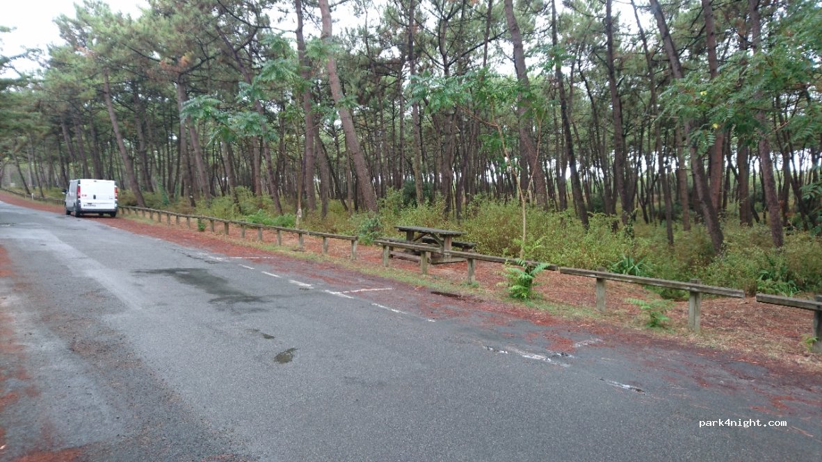 (85460) La Faute-sur-Mer - 173-175 Boulevard de la Forêt — foto 2