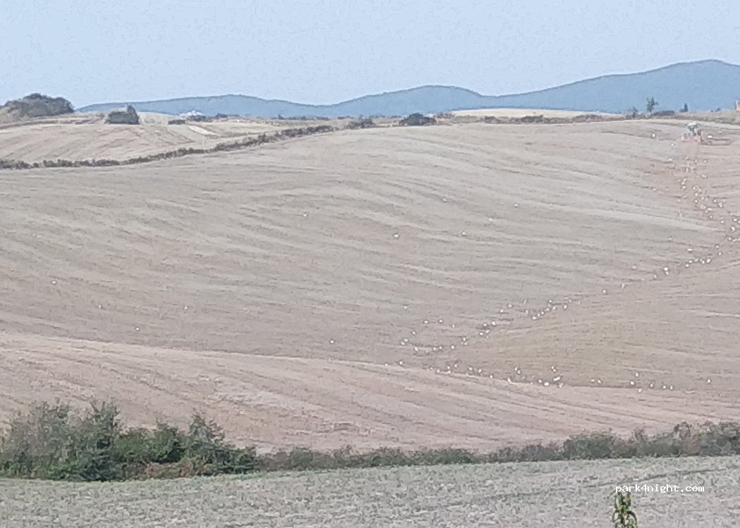 Podere Sant'Anna — foto 3