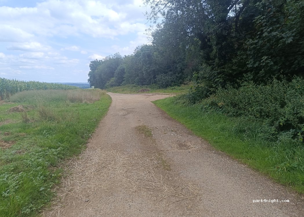 (68780) Sternenberg - Rue Principale — foto 3