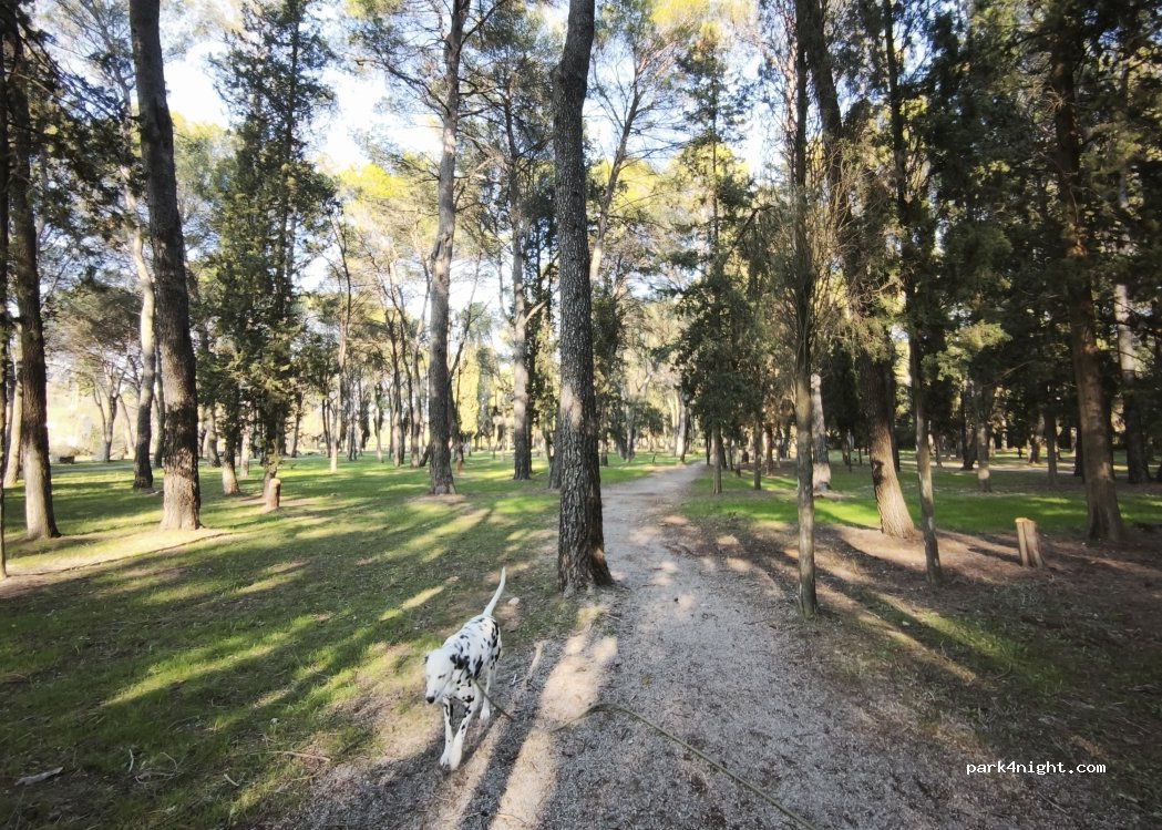 (34400) Lunel - Avenue du Maréchal Leclerc — foto 5