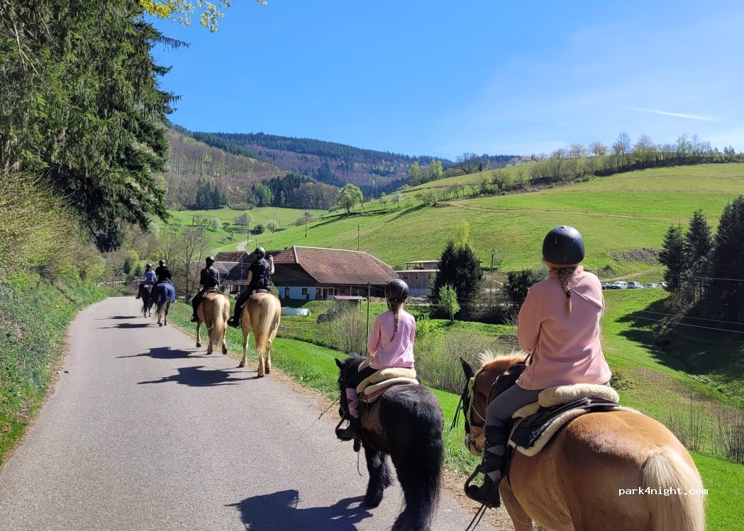 Engelhof Reiten — foto