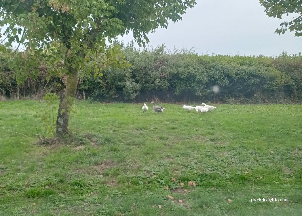 Camping à la ferme de La Touche — foto 4