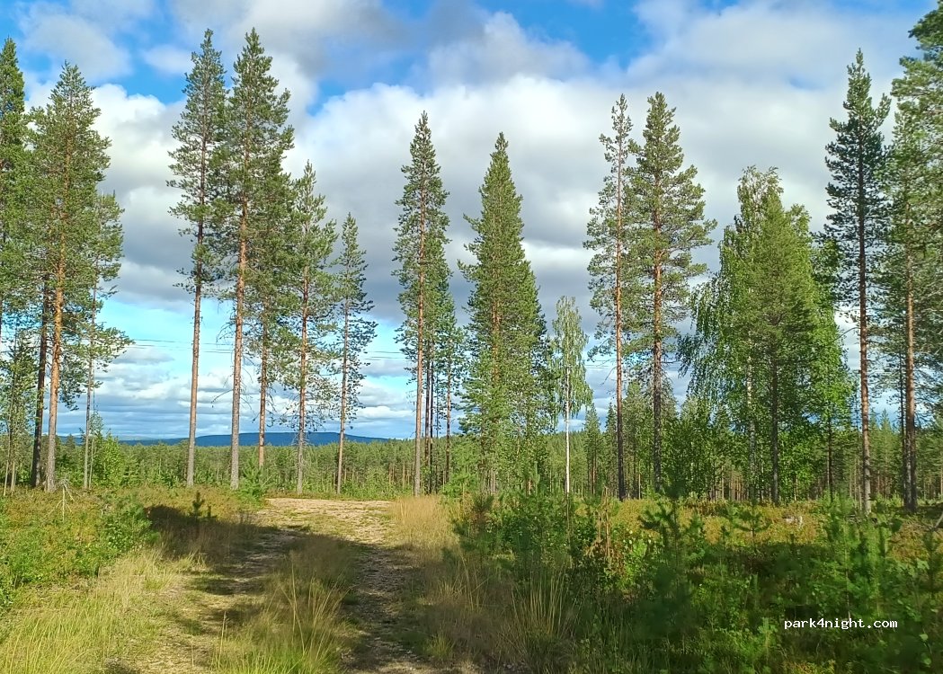 (99555) Sodankylä - Alakitisentie — foto