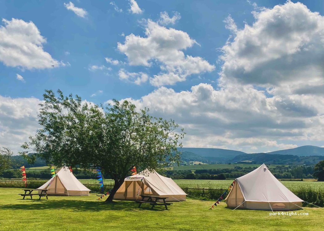 Seren Bach Campsite — foto 5