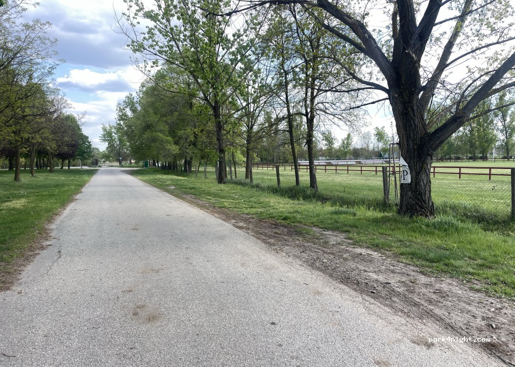 (6449) Mélykút - Jánoshalmi út — foto 2