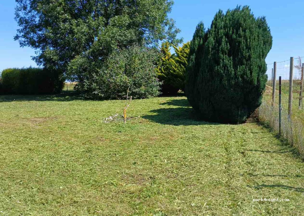 (80460) Ault - Rue de Dalhausen — foto