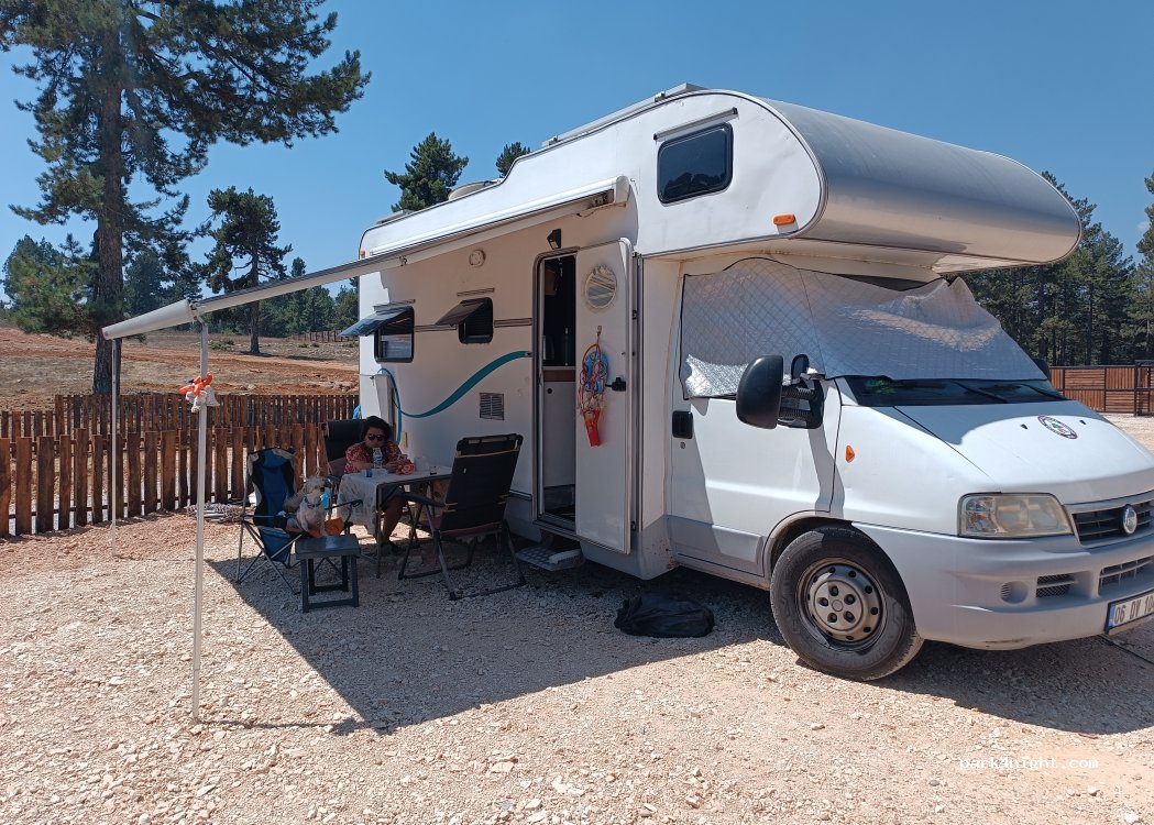 Zevzek tepesi kamp alanı — foto