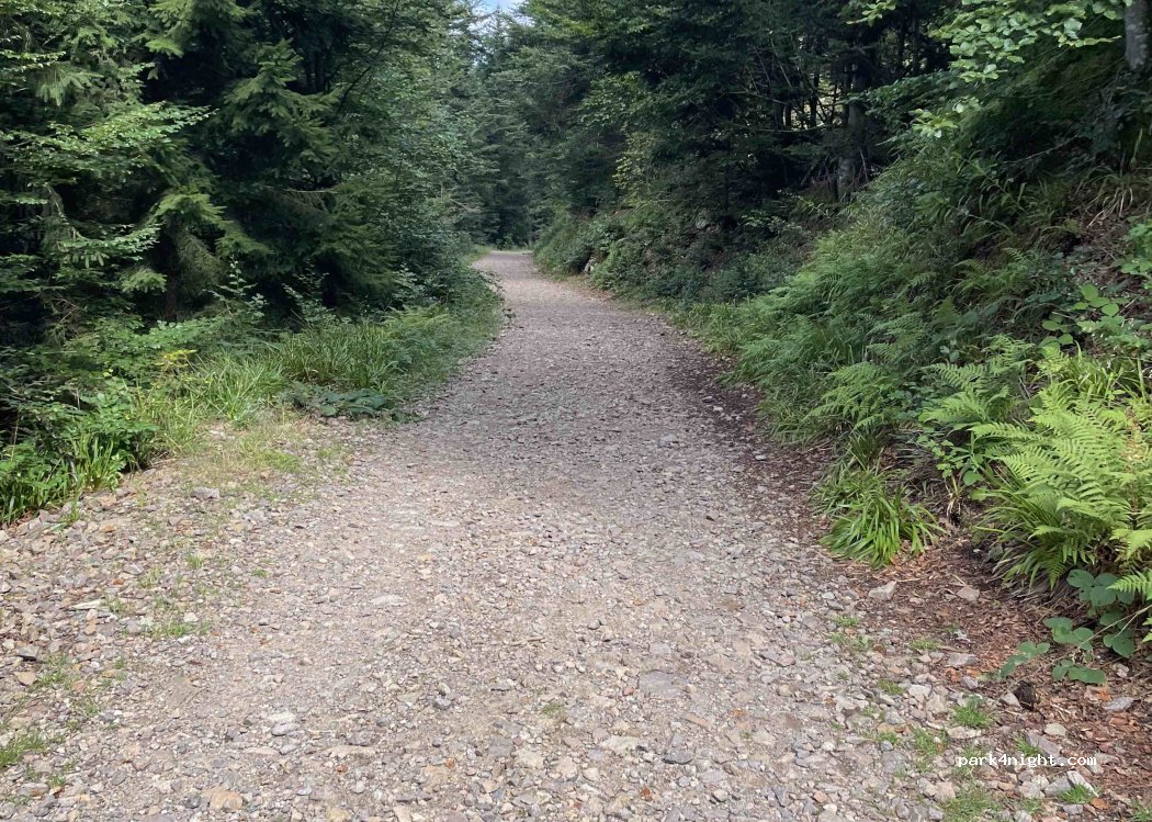 (88310) Cornimont - Chemin de Brabant — foto