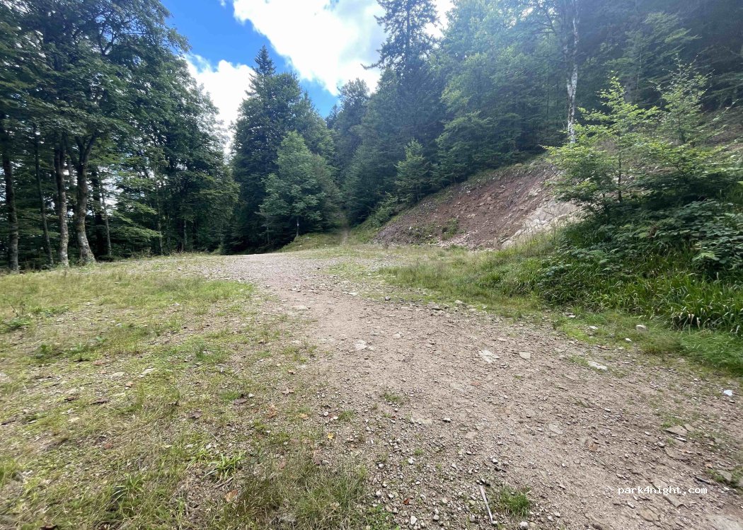 (88310) Cornimont - Chemin de Brabant — foto 2