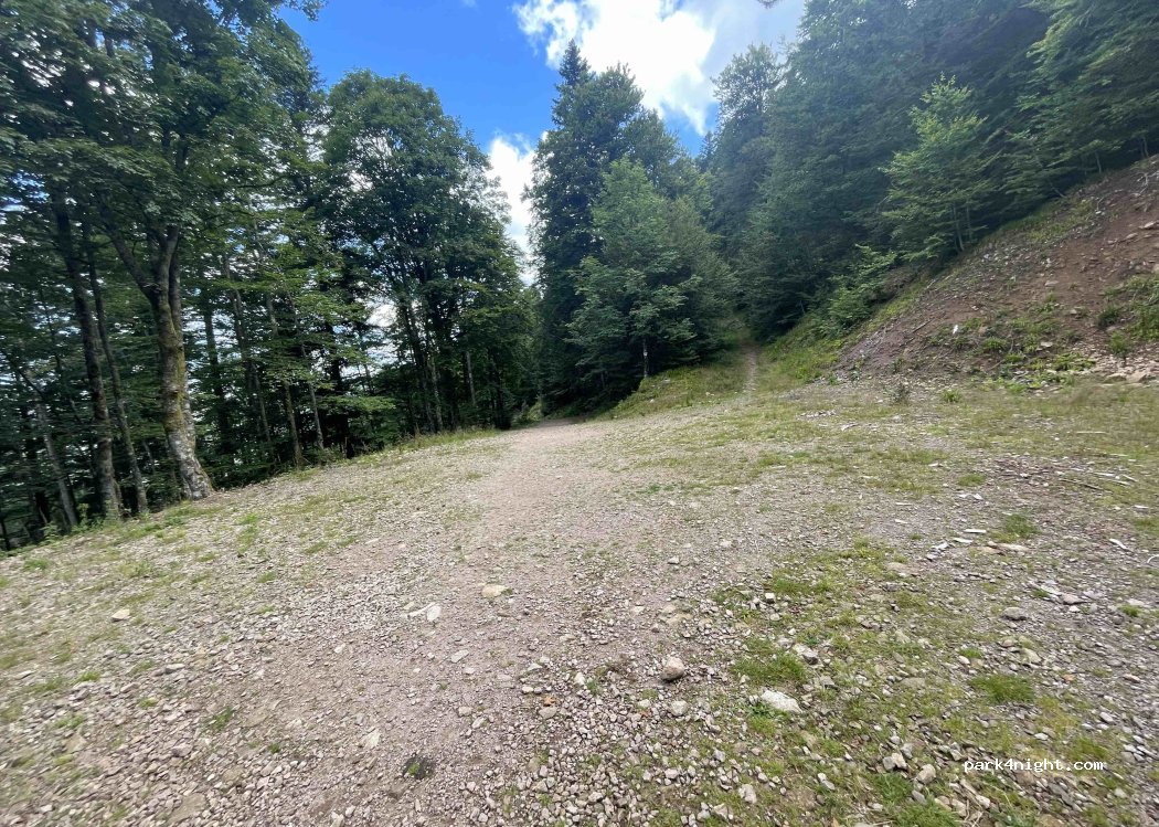 (88310) Cornimont - Chemin de Brabant — foto 3
