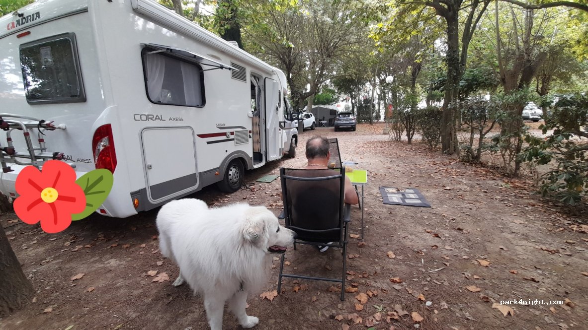 Camping Catalan — foto