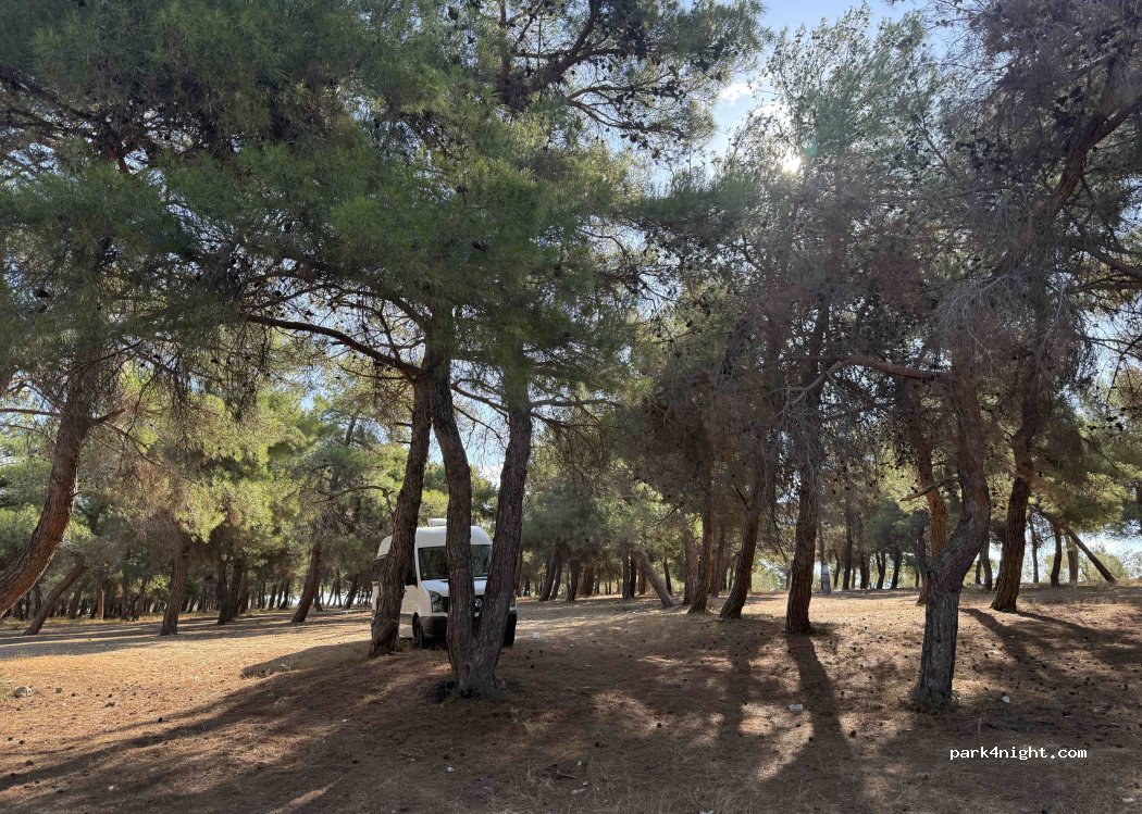 (17100) Gökçalı - — foto 5