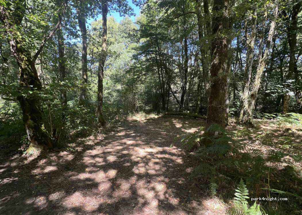 (23340) Faux-la-Montagne - D 3 — foto 3