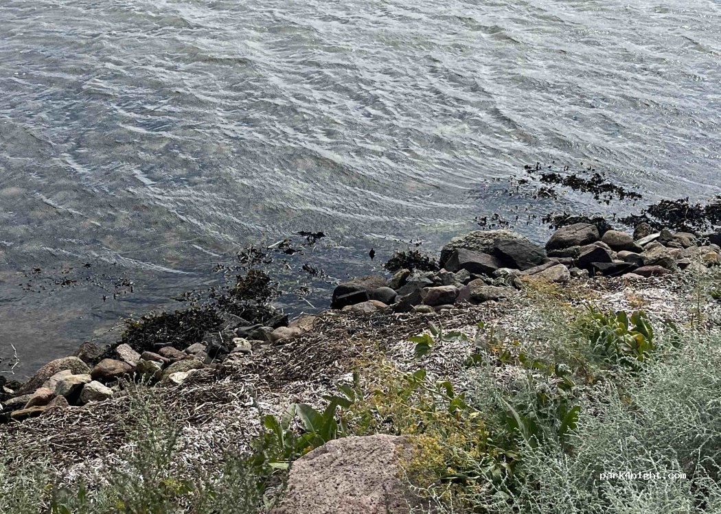 () Strammelse - Søby Strandvej — foto