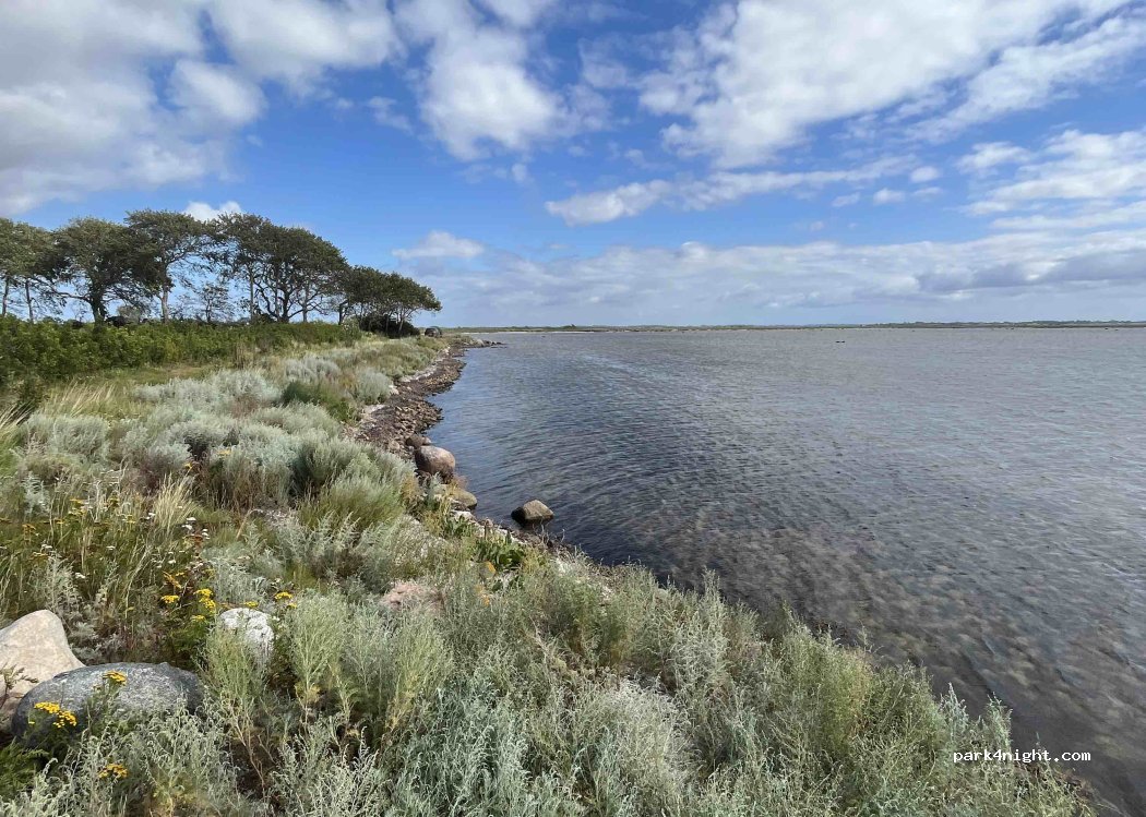 () Strammelse - Søby Strandvej — foto 3