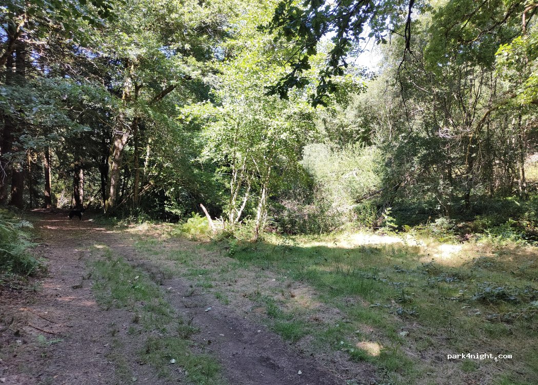 (87140) Saint-Symphorien-sur-Couze - D 27A — foto