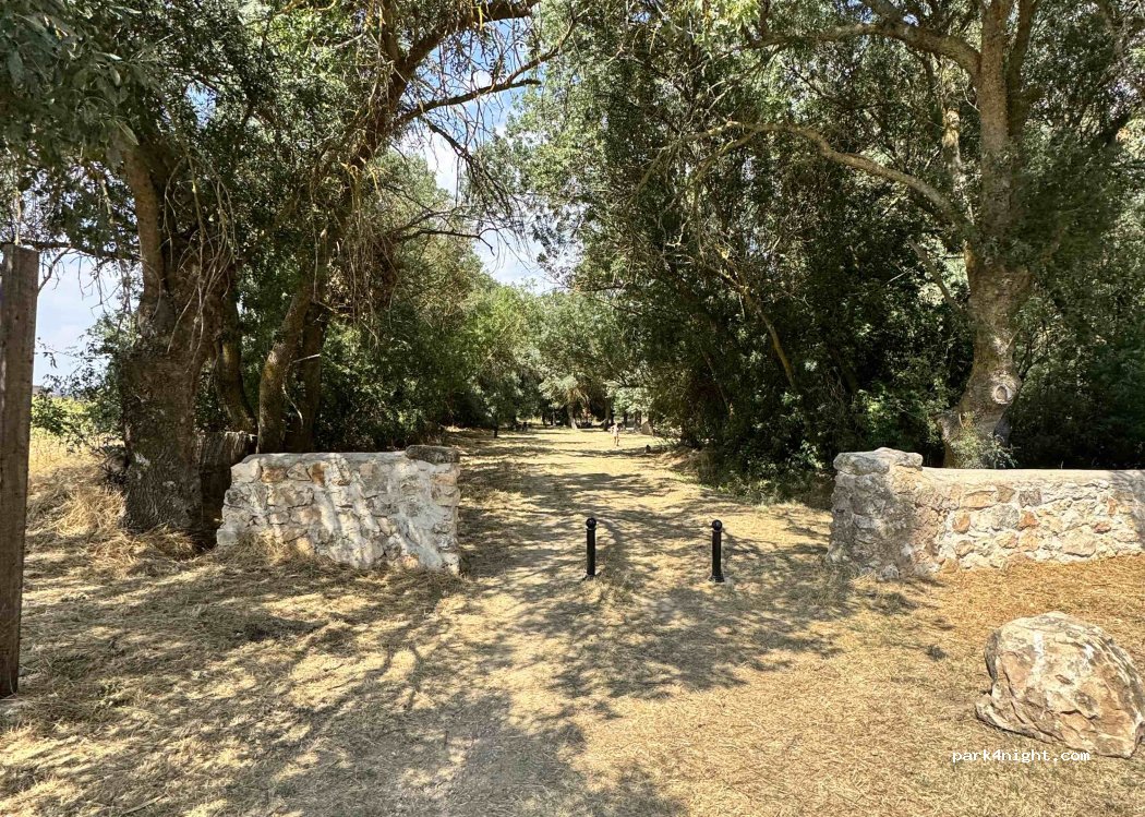 () Velamazán - — foto 2