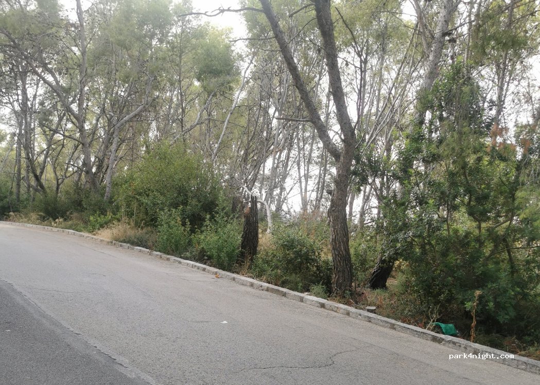(08810) Sant Pere de Ribes - Carrer del Bosc d'en Bruguera — foto 2