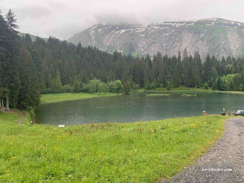 (74110) Morzine - 7145 Route de la Manche — foto