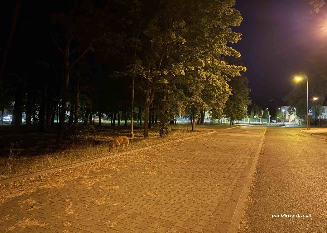 (26-900) Kozienice - Cmentarna — foto