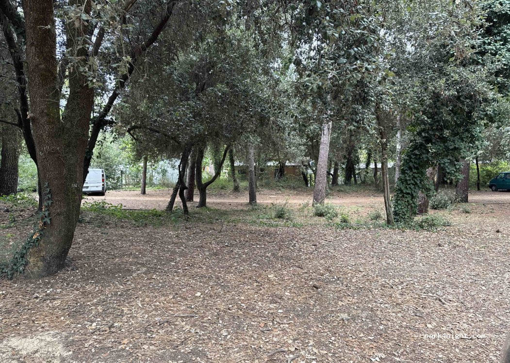 (17370) Le Grand-Village-Plage - Allée de l'Épinette — foto