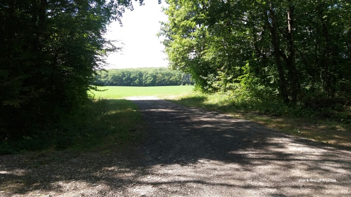 (74270) Saint-Germain-sur-Rhône - Chemin Rural dit des Berlets — foto