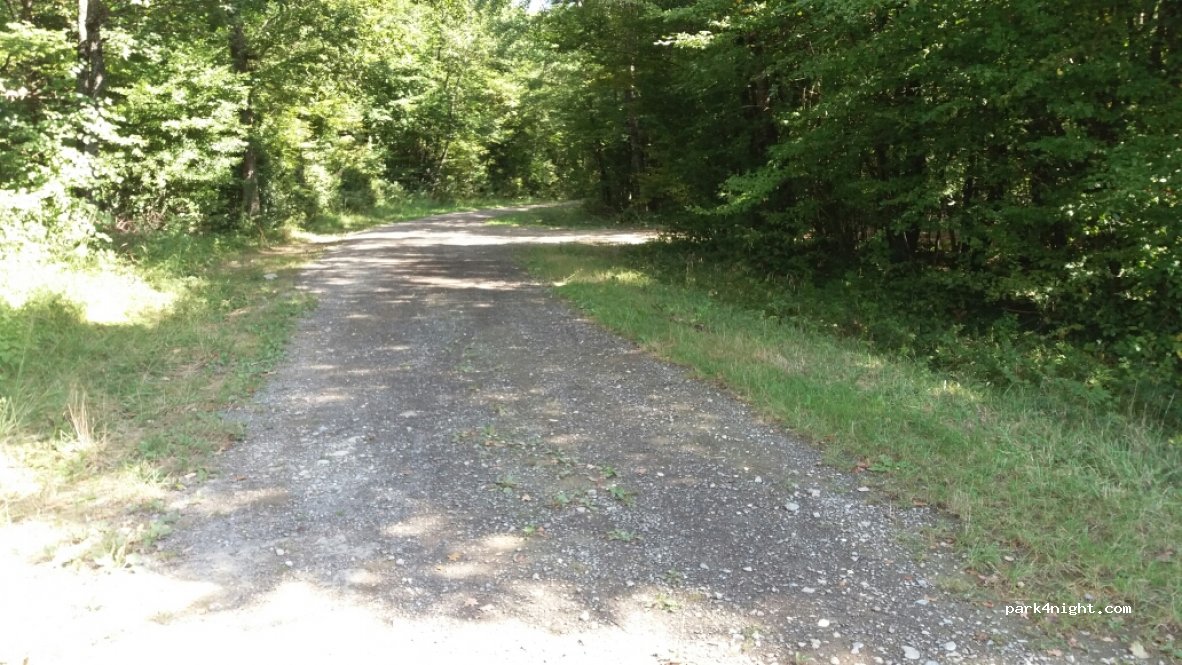 (74270) Saint-Germain-sur-Rhône - Chemin Rural dit des Berlets — foto 2