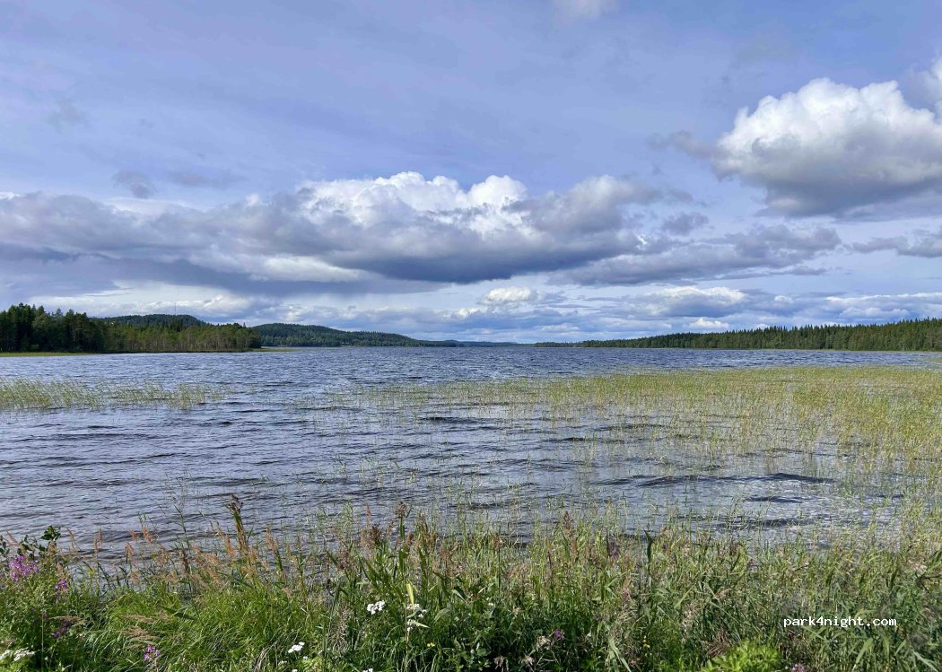 (912 31) Bäsksele - 360 — foto 3
