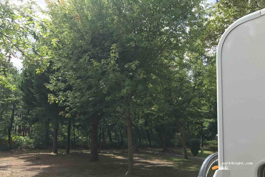 Camping Maeva L' Arbre D'Or au Lac de Biscarrosse — foto