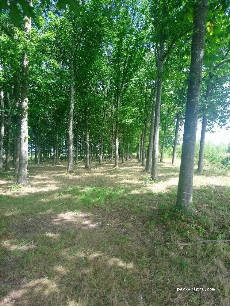 (64300) Biron - 15 Chemin Labielle — foto