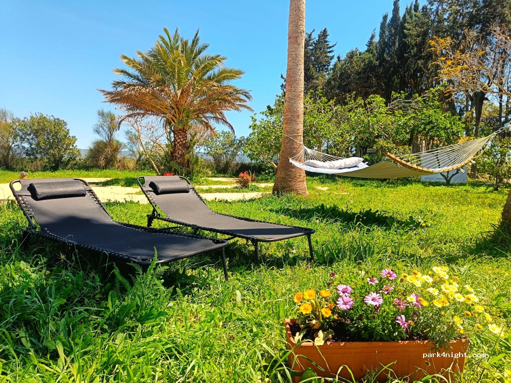 Kleine Oase: Milonga Garden — foto